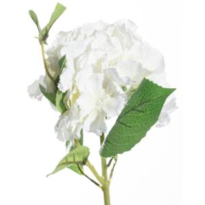 Kwiat Hortensji wys.65cm white
