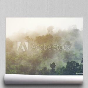 Fototapeta Azjatycki tropikalny tropikalny las deszczowy, natura widoku tło