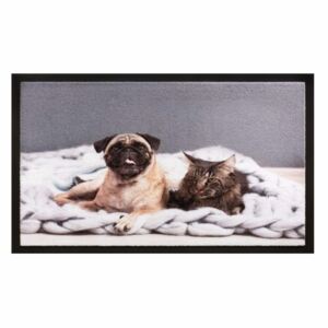 Wycieraczka Cat and Dog, 40 x 60 cm