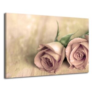 Obraz drukowany Pink rose 90 x 60 cm