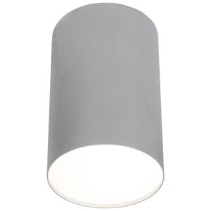 Downlight LAMPA sufitowa POINT PLEXI L 6531 Nowodvorski tuba OPRAWA metalowa srebrna
