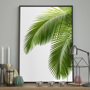DecoKing - Plakat ścienny - Bahamas 40x50 cm