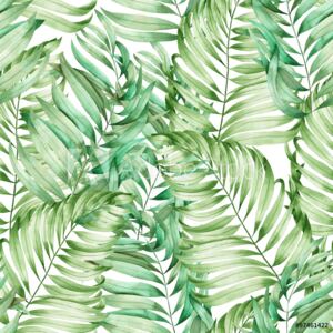 Fototapeta Bezszwowy wzór z gałąź liście palma malował w akwareli na białym tle