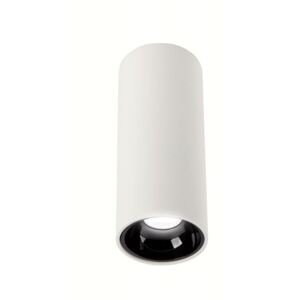 Minimalistyczny Plafon ALX Oprawa Lampa Sufitowa Biała Czarny Środek Tuba Oświetlenie LED Auhilon