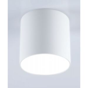 Oprawa Sufitowa Plafon TUBA POLO W4 Biała Lampa Walec Zintegrowane Źródło Światła LED Modne Oświetlenie Auhilon