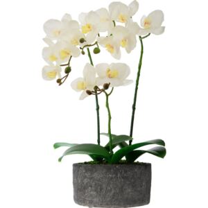 Sztuczna orchidea w donicy, 3 pędy w kolorze biały, 40 cm