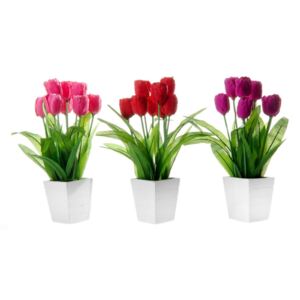 Zestaw 3 kwiatków dekoracyjnych w doniczkach Unimasa Tulip