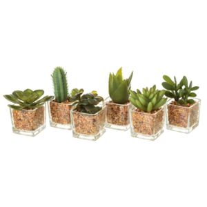 Zestaw 6 dekoracyjnych kaktusów Unimasa