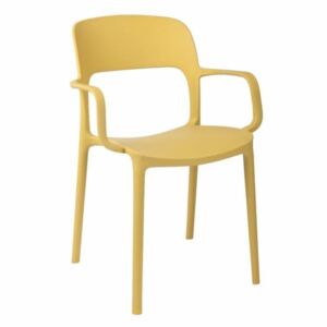 Krzesło Flexi z podłokietnikami