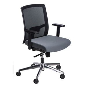 Fotel biurowy Ergo czarny/szary - Czarny || Szary