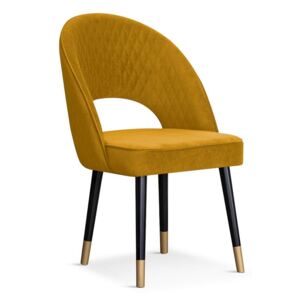 Krzesło PONTE miodowy/ noga czarno-złota/ BL68 - Miodowy