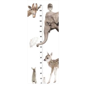 Naklejka ścienna Dekornik I Love Animals, 60x160 cm