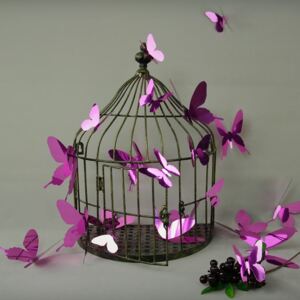 Zestaw 12 fioletowych naklejek 3D Ambiance Butterflies Purple