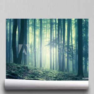 Fototapeta Magiczna błękitna zieleń naszły mgłowy lasowy krajobraz Zastosowano efekt filtra