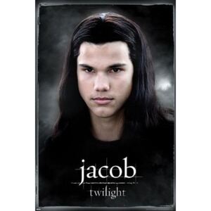 Twilight (Jacob) - plakat 61x91,5 cm