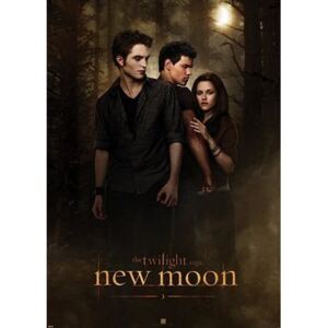 Twilight - New Moon (Woods) - plakat 100x140 cm