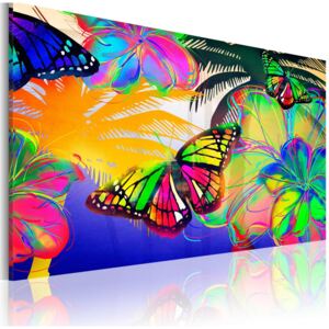 Obraz - Egzotyczne motyle (90X60)