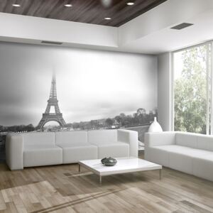 Fototapeta - Paryż: Wieża Eiffla (450X270)