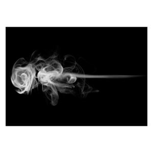 Fototapeta - róża (dym) (350X270)
