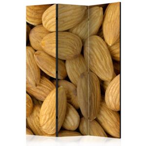 Parawan 3-częściowy - Tasty almonds [Room Dividers] (135X172)