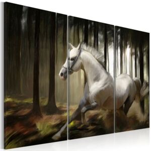 Obraz - Biały koń pośród drzew (90X60)