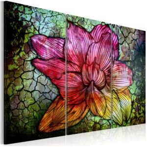 Obraz - Abstrakcyjny kwiat w kolorach tęczy (90X60)
