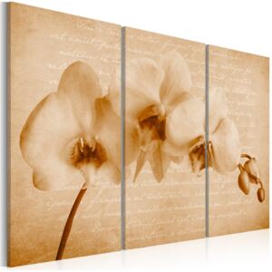 Obraz - orchidea (vintage) (120X80)