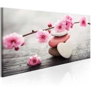 Obraz - Zen: Kwiaty wiśni V (70X35)