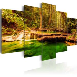 Obraz - PIękno natury - wodospad (200X100)