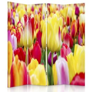 Parawan pokojowy, czteroczęściowy, na płótnie Canvas, Kolorowe tulipany 2 (145X150)
