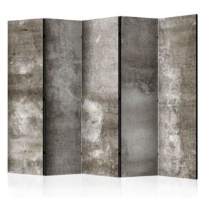 Parawan 5-częściowy - Zimny beton [Room Dividers] (225X172)