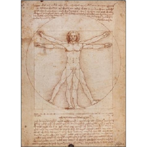 Reprodukcja Vitruvian Man, Leonardo Da Vinci, (60 x 80 cm)