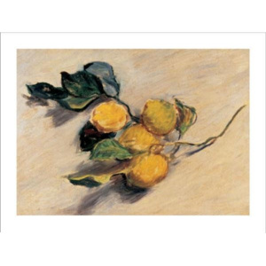 Reprodukcja Branch from a Lemon Tree, Claude Monet, (70 x 50 cm)