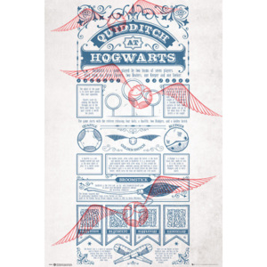 Plakat, Obraz Harry Potter - Quidditch At Hogwarts, (61 x 91,5 cm)