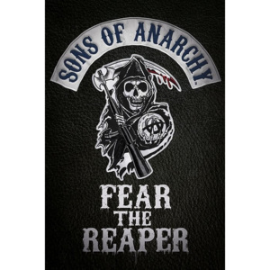 Plakat, Obraz Synowie Anarchii - Fear the reaper, (61 x 91,5 cm)