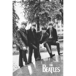 Plakat, Obraz The Beatles - Pose, (61 x 91,5 cm)
