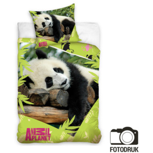 Pościel dziecięca Animal planet panda