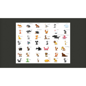 Fototapeta - Learning by playing (animals)