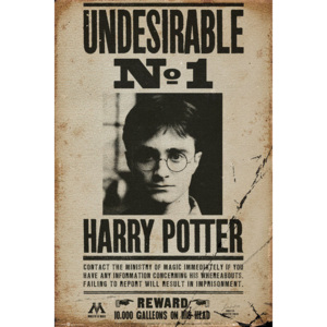 Plakat, Obraz Harry Potter - Undesirable n11, (61 x 91,5 cm)
