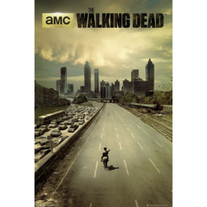 Plakat, Obraz The Walking Dead - city, (61 x 91,5 cm)