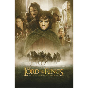 Plakat, Obraz Lord Of The Rings - fellowship, (61 x 91,5 cm)