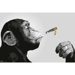 Plakat, Obraz Steez - Ma py Smoking, (91,5 x 61 cm)