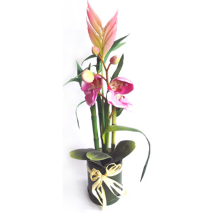 Sztuczny kwiat aranżacji Storczyka i bambusa