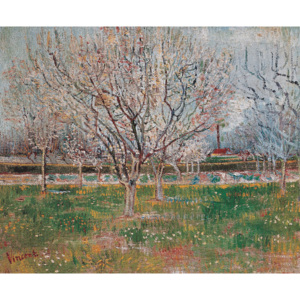 Reprodukcja Plum Trees Orchard in Blossom 1888, Vincent van Gogh, (90 x 60 cm)