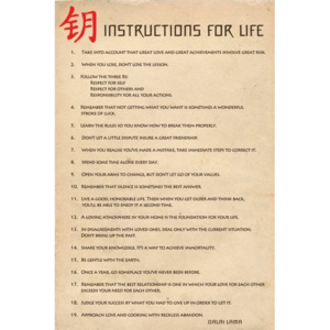 Plakat, Obraz Instructions for live, (61 x 91,5 cm)