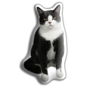 Poduszeczka Adorable Cushions Czarnobiały kot