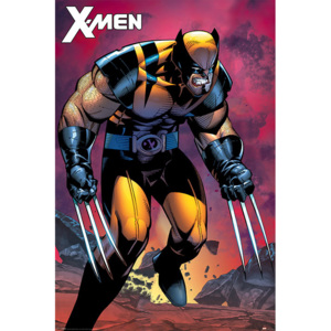 Plakat, Obraz X-Men - Wolverine Berserker Rage, (61 x 91,5 cm)
