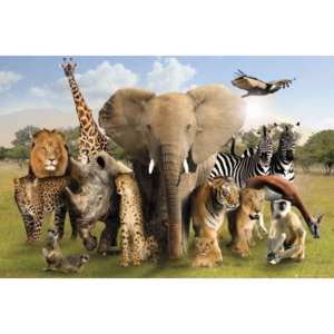 Plakat, Obraz Wild World, (91,5 x 61 cm)