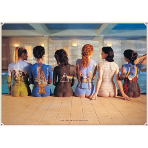Plakat, Obraz Pink Floyd - back catalogue, (91,5 x 61 cm)