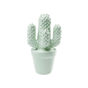 Kare Design :: Dekoracja Kaktus Mint – wzór 1
